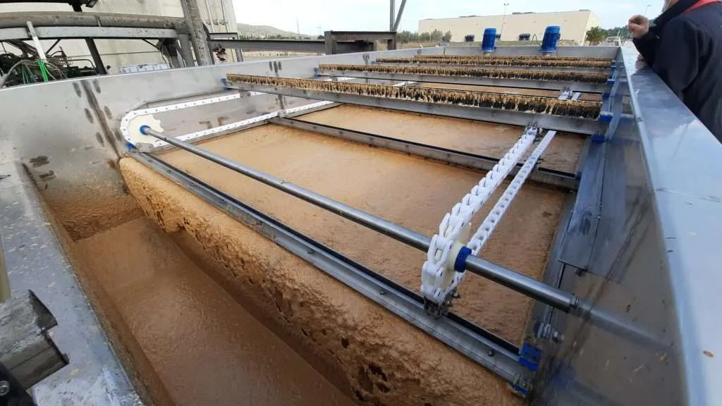 Proceso de separación en planta de faena