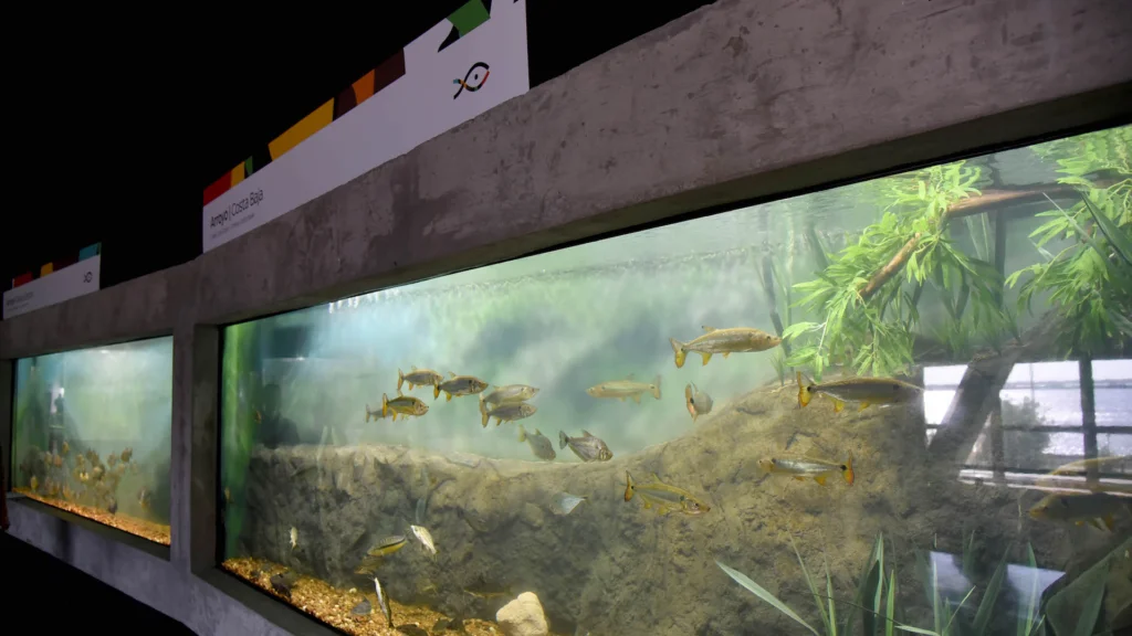 Mantenimiento de sistemas chiller en Acuario del Río Paraná 4