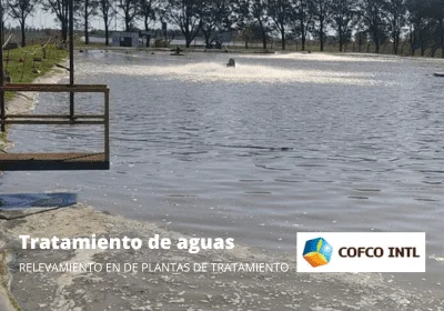 COFCO