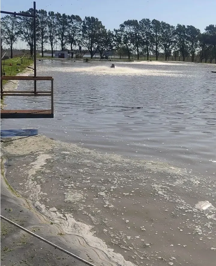 Tratamiento de efluentes COFCO Junin 8