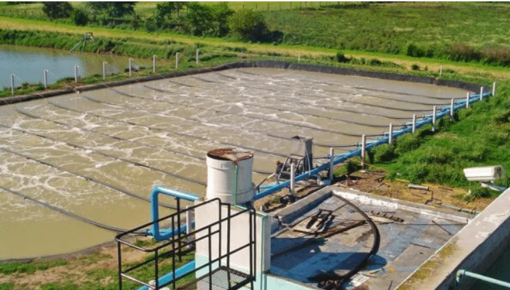 Tratamiento de efluentes en industria frigorifica