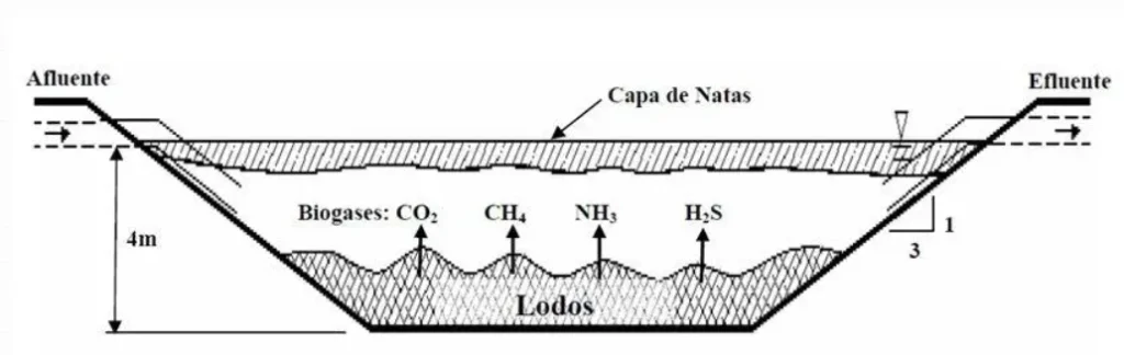 Tratamiento de efluentes en industria frigorifica